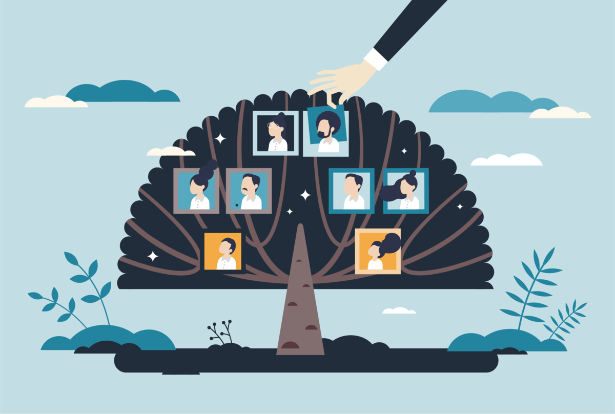 Na obrazku widnieje drzewo genealogiczne.